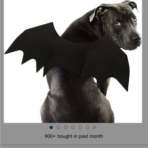 Bat wings for dog